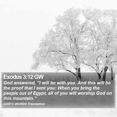 Exodus 3:12 GW Bible Verse Image