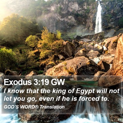 Exodus 3:19 GW Bible Verse Image