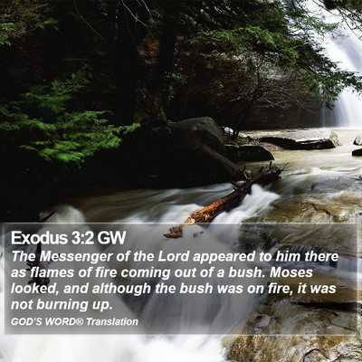 Exodus 3:2 GW Bible Verse Image