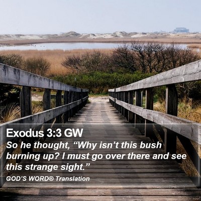 Exodus 3:3 GW Bible Verse Image