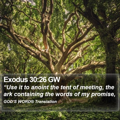 Exodus 30:26 GW Bible Verse Image