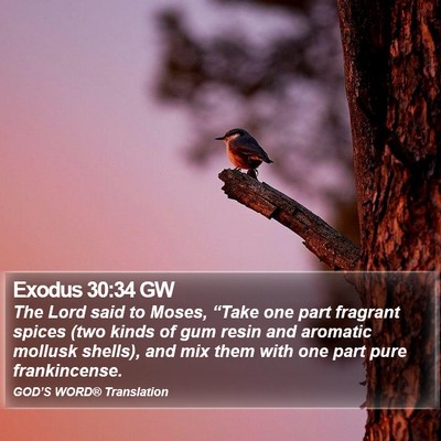 Exodus 30:34 GW Bible Verse Image