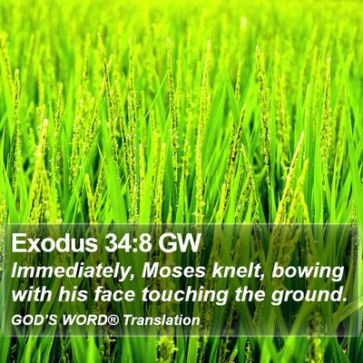 Exodus 34:8 GW Bible Verse Image