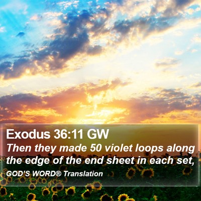 Exodus 36:11 GW Bible Verse Image