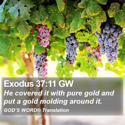 Exodus 37:11 GW Bible Verse Image