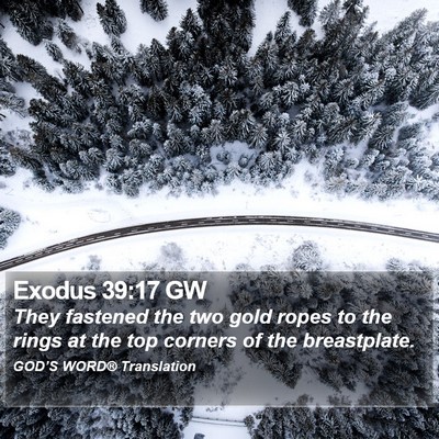 Exodus 39:17 GW Bible Verse Image