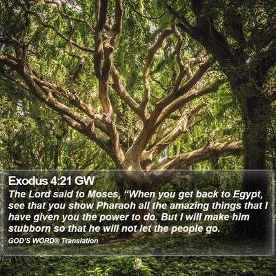 Exodus 4:21 GW Bible Verse Image