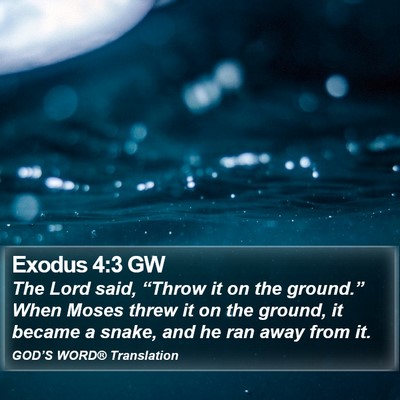 Exodus 4:3 GW Bible Verse Image