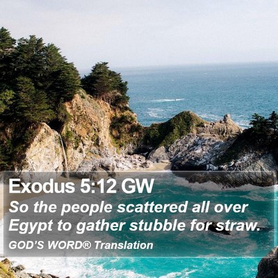 Exodus 5:12 GW Bible Verse Image