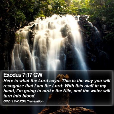 Exodus 7:17 GW Bible Verse Image