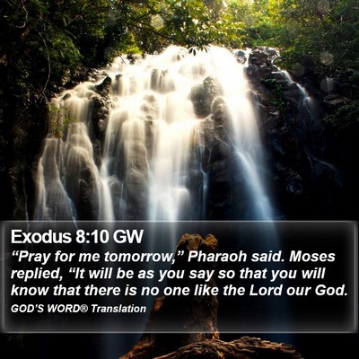 Exodus 8:10 GW Bible Verse Image