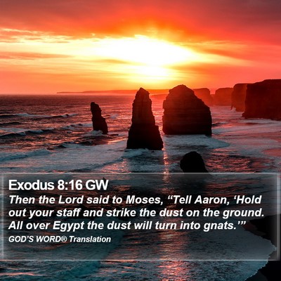 Exodus 8:16 GW Bible Verse Image
