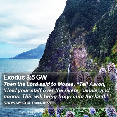 Exodus 8:5 GW Bible Verse Image