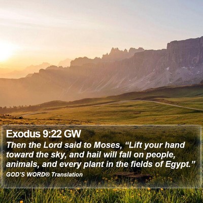 Exodus 9:22 GW Bible Verse Image