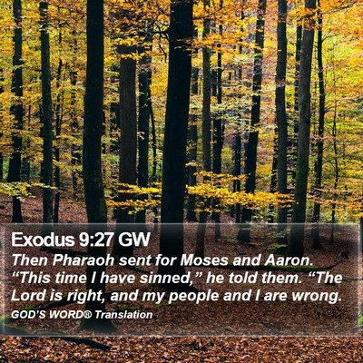 Exodus 9:27 GW Bible Verse Image