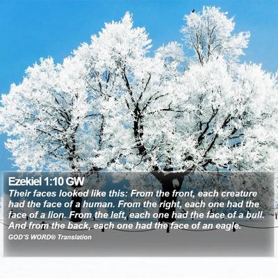 Ezekiel 1:10 GW Bible Verse Image