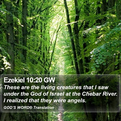 Ezekiel 10:20 GW Bible Verse Image