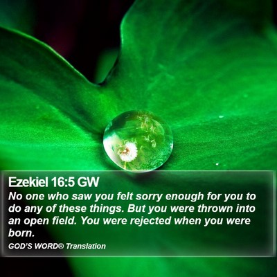 Ezekiel 16:5 GW Bible Verse Image
