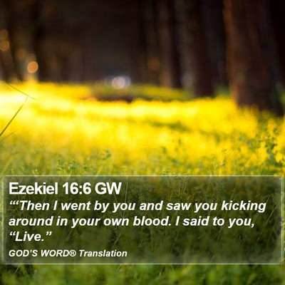 Ezekiel 16:6 GW Bible Verse Image