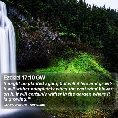 Ezekiel 17:10 GW Bible Verse Image