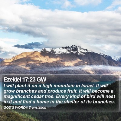 Ezekiel 17:23 GW Bible Verse Image