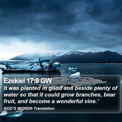 Ezekiel 17:8 GW Bible Verse Image