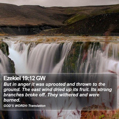 Ezekiel 19:12 GW Bible Verse Image