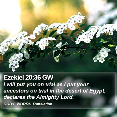 Ezekiel 20:36 GW Bible Verse Image