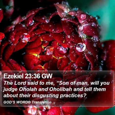 Ezekiel 23:36 GW Bible Verse Image
