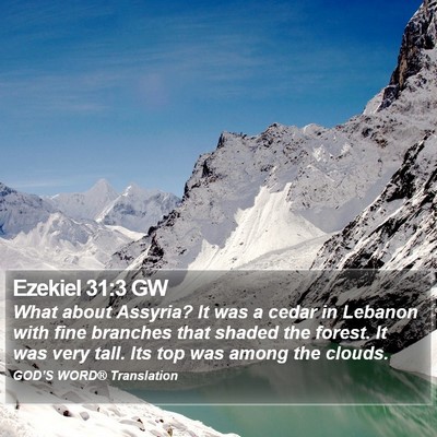 Ezekiel 31:3 GW Bible Verse Image