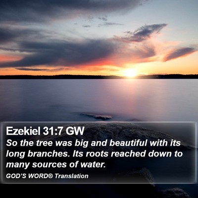 Ezekiel 31:7 GW Bible Verse Image