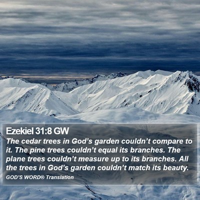 Ezekiel 31:8 GW Bible Verse Image