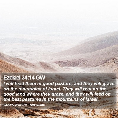 Ezekiel 34:14 GW Bible Verse Image