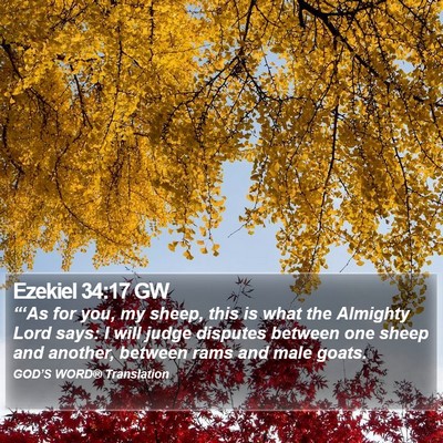 Ezekiel 34:17 GW Bible Verse Image
