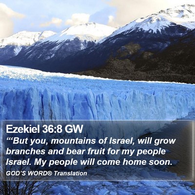Ezekiel 36:8 GW Bible Verse Image
