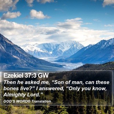 Ezekiel 37:3 GW Bible Verse Image