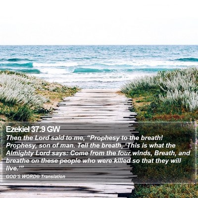 Ezekiel 37:9 GW Bible Verse Image