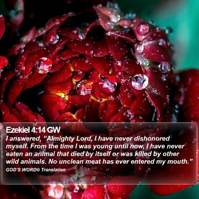 Ezekiel 4:14 GW Bible Verse Image
