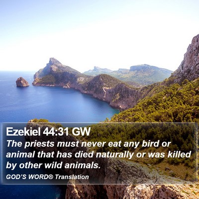 Ezekiel 44:31 GW Bible Verse Image