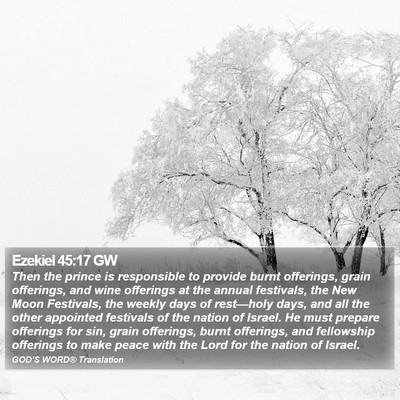 Ezekiel 45:17 GW Bible Verse Image
