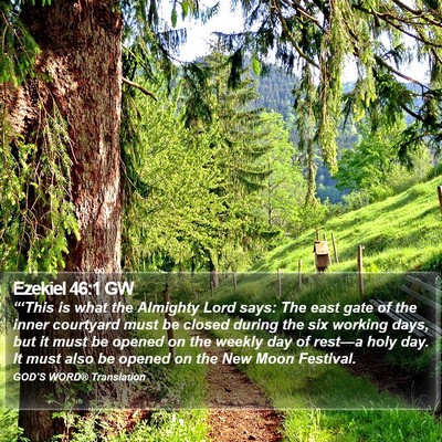 Ezekiel 46:1 GW Bible Verse Image