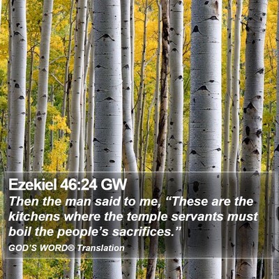 Ezekiel 46:24 GW Bible Verse Image
