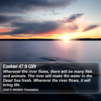 Ezekiel 47:9 GW Bible Verse Image