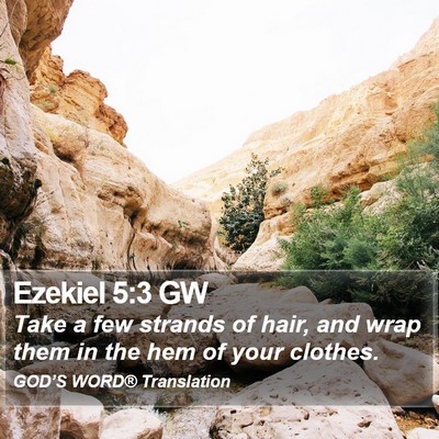 Ezekiel 5:3 GW Bible Verse Image