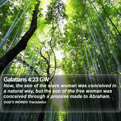 Galatians 4:23 GW Bible Verse Image