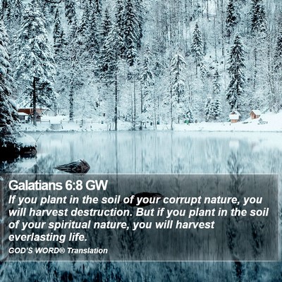 Galatians 6:8 GW Bible Verse Image