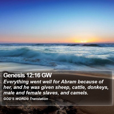 Genesis 12:16 GW Bible Verse Image