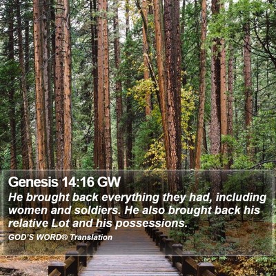 Genesis 14:16 GW Bible Verse Image