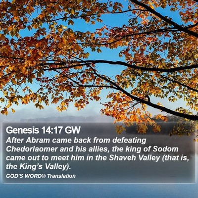 Genesis 14:17 GW Bible Verse Image