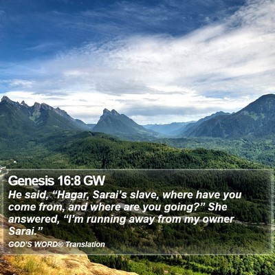 Genesis 16:8 GW Bible Verse Image